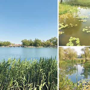 合肥市瑤海公園水體維...